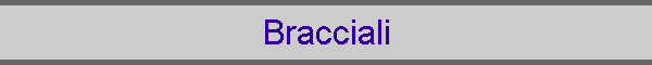 Bracciali